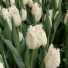 80ed286e_2a25_11ee_8ae1_d85ed3a392ab_7fd1f9cf_303f_11ee_8ae1_d85ed3a392ab.resize2