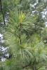 4ccb2cd1_794e_11ed_bba8_00155d328302_4ccb2cd2_794e_11ed_bba8_00155d328302.resize1